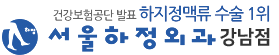 서울하정외과